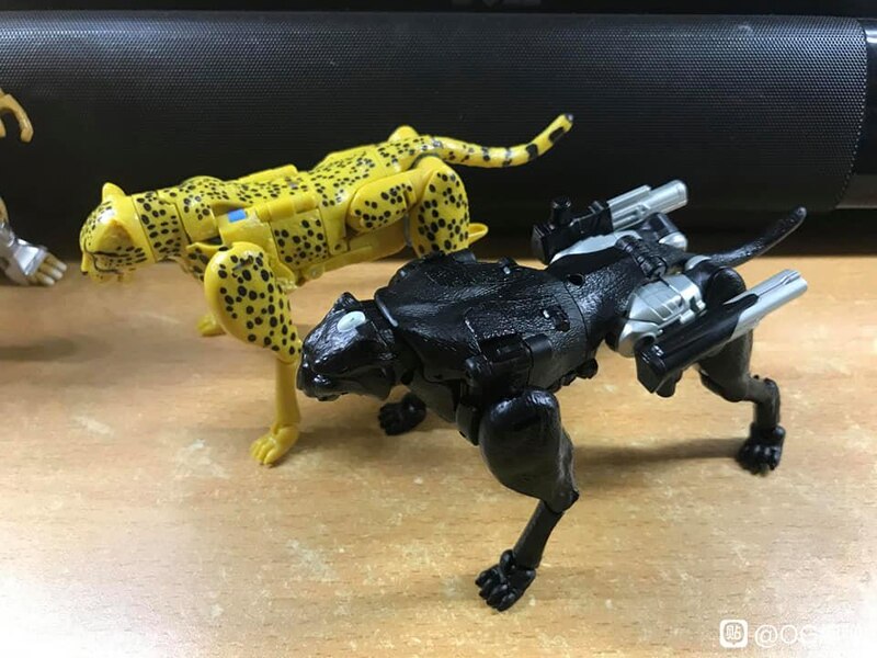 MORE Transformers Agent Ravage Images Cheetor Compared  (61 of 67)